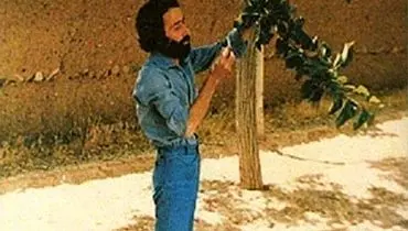 قاب جدید سهراب سپهری
