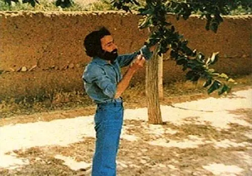 آخرین تصویر از دستان سهراب سپهری پیش از فوت/ عکس