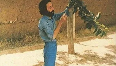 قاب جدید سهراب سپهری