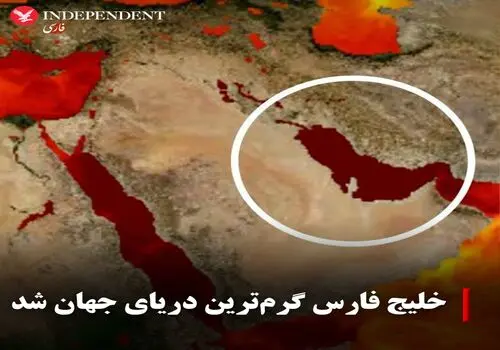 آبزیان قشم زیر سایه آلودگی نفتی؛ تصاویر تکان‌دهنده پس از ۵ روز++فیلم