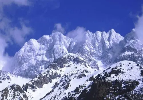  خانه درختی مدرن در دل برف+ فیلم