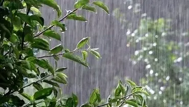 پیش بینی وضعیت آب و هوا؛ هوای این استانها بارانی است