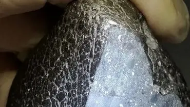 قدیمی‌ترین سنگ مریخی روی زمین!