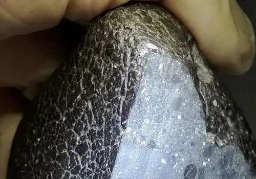 آیا مریخ خانه اول انسان‌ها بوده؟