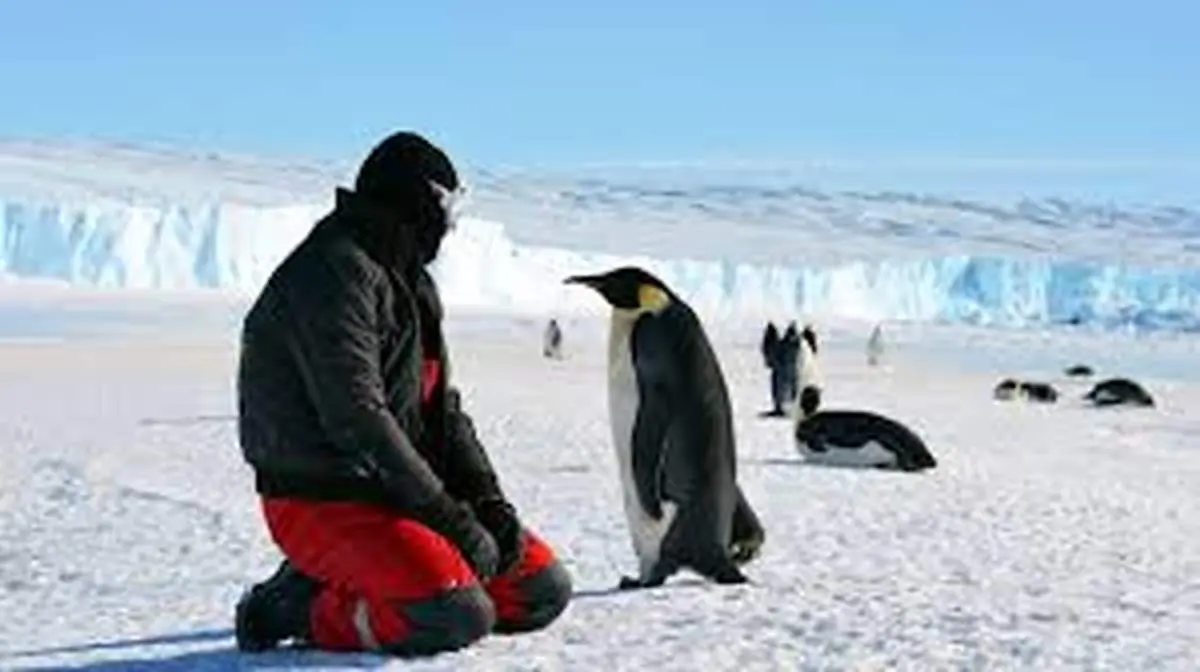  چرا سفر به قطب جنوب ممنوع است؟