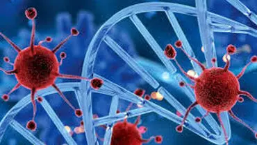 رژیم غذایی سالم که به پیشگیری از سرطان کمک می‌کند