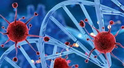 رژیم غذایی سالم که به پیشگیری از سرطان کمک می‌کند
