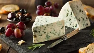 چند نکته برای نگهداری از پنیر