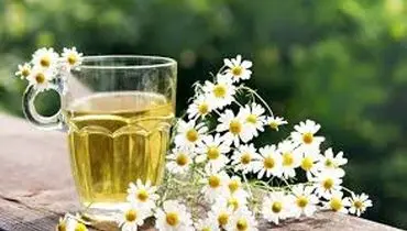 
خواص درمانی و عوارض بابونه
