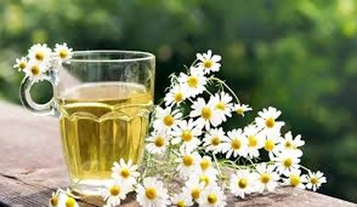 خواص درمانی و عوارض بابونه
