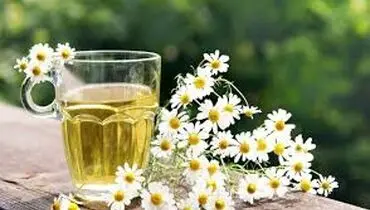 خواص درمانی و عوارض بابونه
