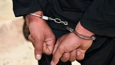 جزئیات دستگیری همدست مالک «کوروش کمپانی»