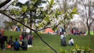 دو بوستان‌ در تهران تعطیل شد