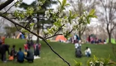 دو بوستان‌ در تهران تعطیل شد