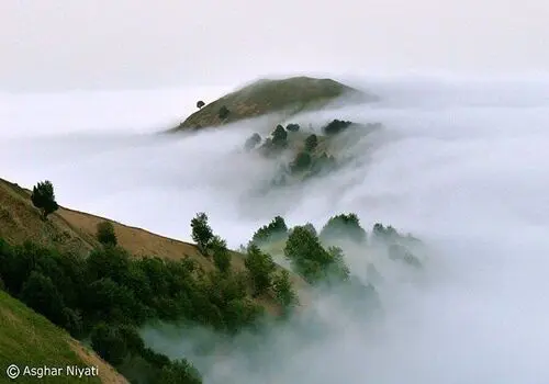 شهردار زنجان استعفا داد