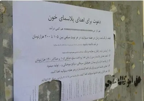 ژاپنی ها در اعماق اقیانوس هم شهر ساختند/تصاویر