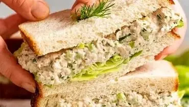 طرز تهیه ساندویچ تن ماهی خوشمزه