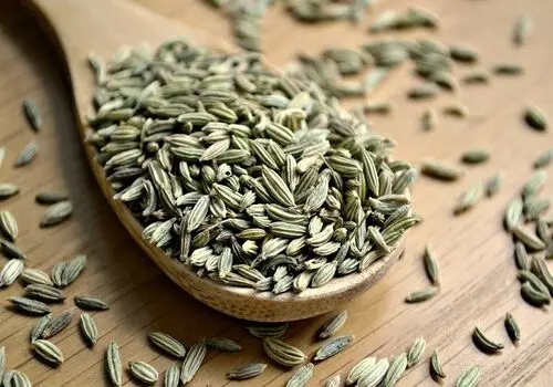 چگونه با «کالری منفی» لاغر شویم؟