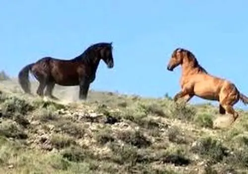 آغاز شمارش معکوس برای بهار؛ زمان دقیق تحویل سال ۱۴۰۵ اعلام شد!