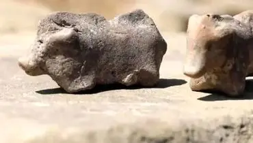 کشف تندیسه‌هایی گاوهای جوان باستانی مربوط به اوایل عصر آهن + عکس

