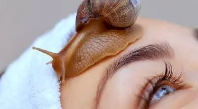 نابینایی به کمک یک حلزون درمان میشود!