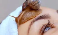 نابینایی به کمک یک حلزون درمان میشود!