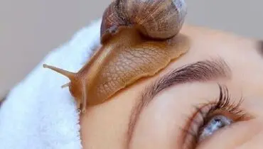نابینایی به کمک یک حلزون درمان میشود!
