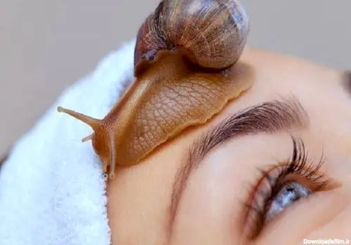 نابینایی به کمک یک حلزون درمان میشود!