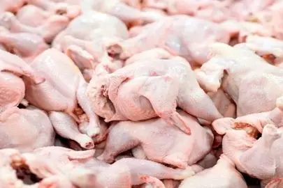 قیمت جدید گوشت مرغ