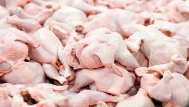 قیمت جدید گوشت مرغ