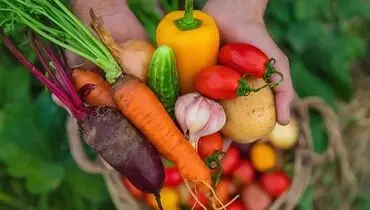 با خوردن این خوراکی‌ها پوستی جوان‌تر داشته باشید