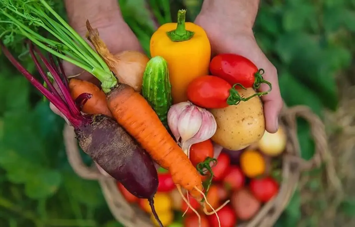با خوردن این خوراکی‌ها پوستی جوان‌تر داشته باشید
