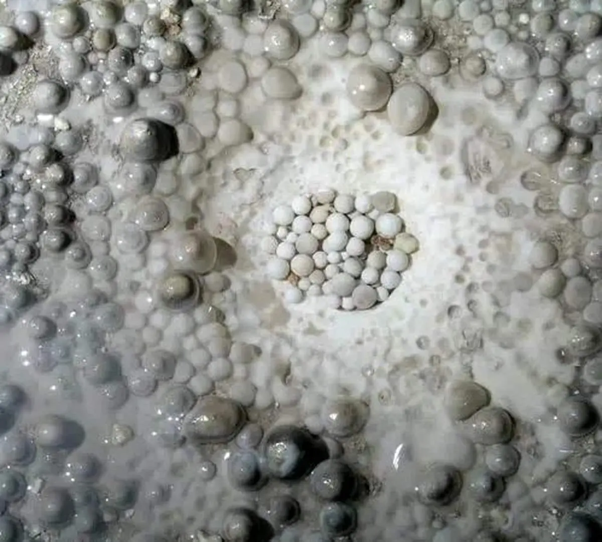 کشف «مرواریدهای غار»  نادر در دل تونل باستانی در نزدیکی بیت‌المقدس
