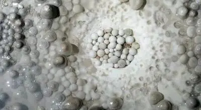 کشف «مرواریدهای غار»  نادر در دل تونل باستانی در نزدیکی بیت‌المقدس
