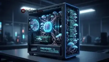 تحولی در فناوری حافظه؛ جایگزینی سیلیکون با قارچ‌ها در ساخت حافظه‌های کامپیوتری


