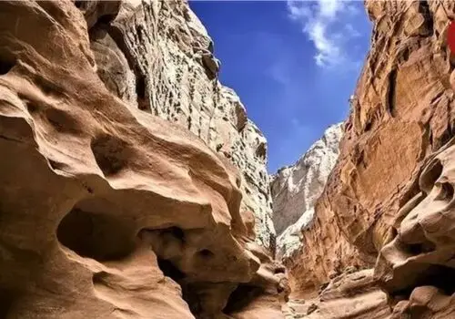 گشایش پروژه های درمانی،حمایتی و اشتغال زا در پهنه کرمان