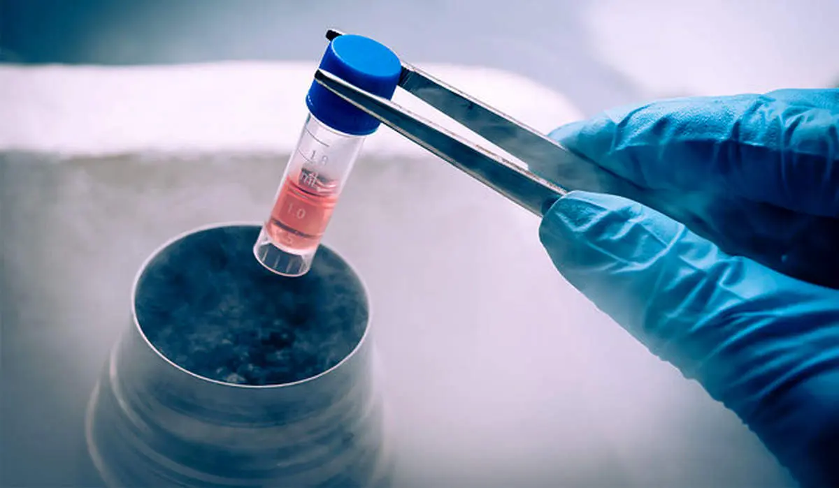 ورود وزارت بهداشت به ماجرای گم شدن جنین‌های فریز شده