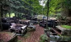 گورستانی عجیب و اسرار آمیز از خودروهای رها شده در عمق جنگل های بلژیک+ تصاویر