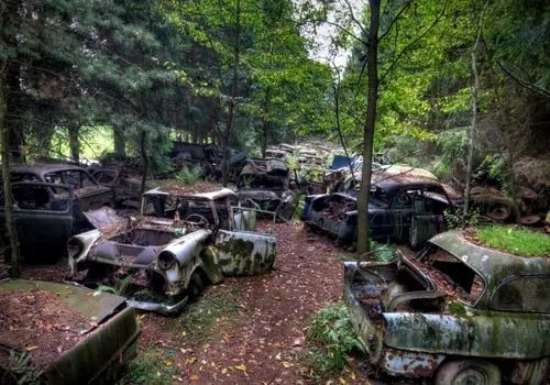 گورستانی عجیب و اسرار آمیز از خودروهای رها شده در عمق جنگل های بلژیک+ تصاویر