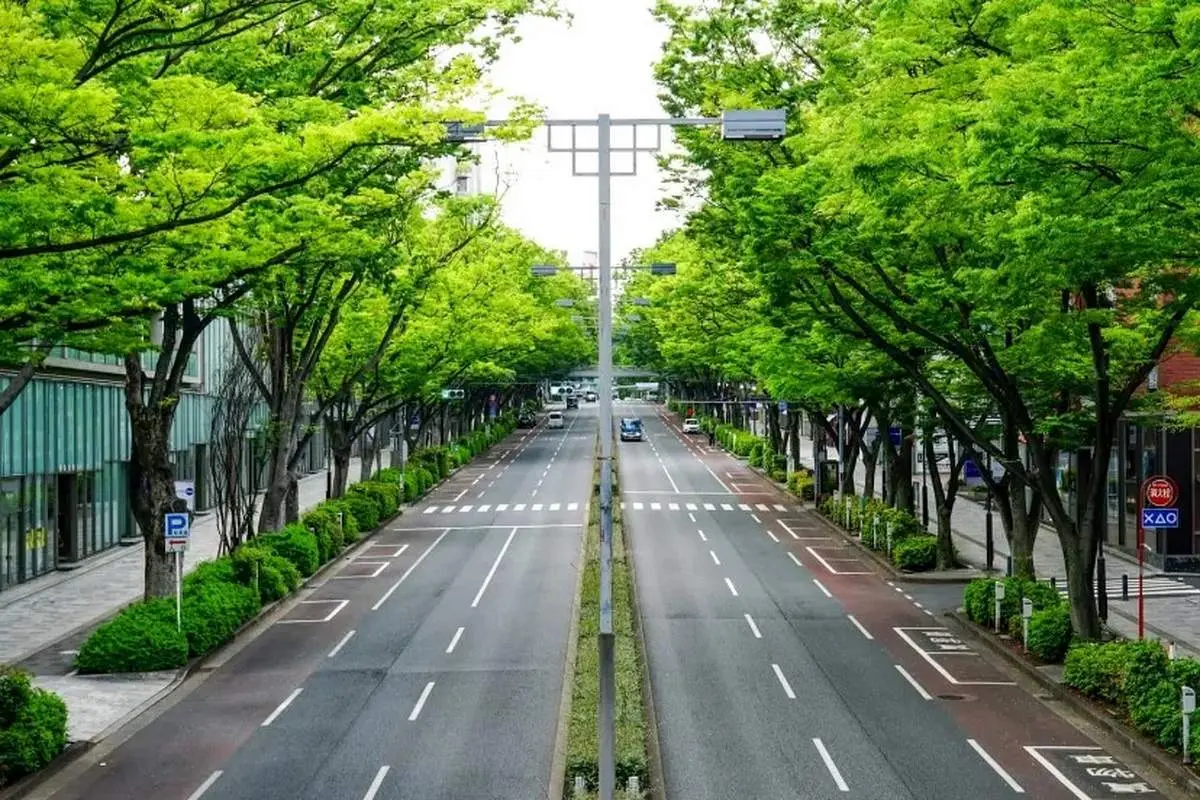 در ژاپن سطل زباله خیابانی وجود ندارد! چرا؟