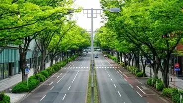 در ژاپن سطل زباله خیابانی وجود ندارد! چرا؟