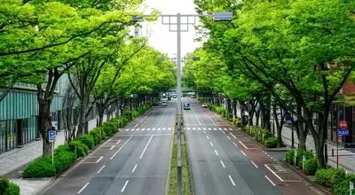 در ژاپن سطل زباله خیابانی وجود ندارد! چرا؟