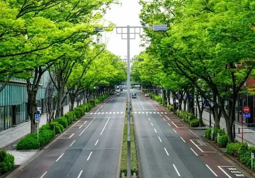 در ژاپن سطل زباله خیابانی وجود ندارد! چرا؟