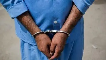 عامل اصلی شهادت شهید " شیبک " دستگیر شد