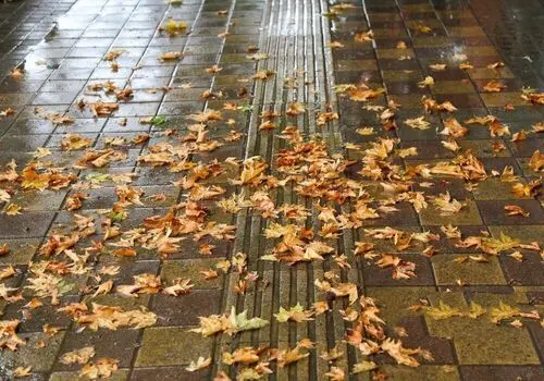 این نوشیدنی افسردگی را از شما دور می‌کند