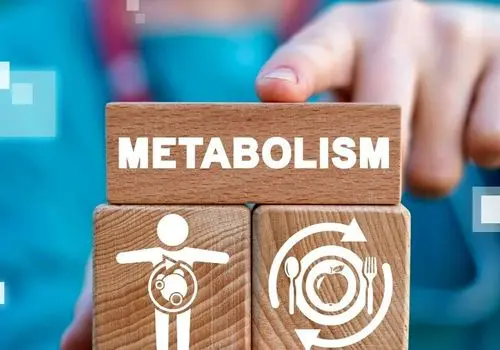 ۵ عادتی که متابولیسم شما را کند می‌کند