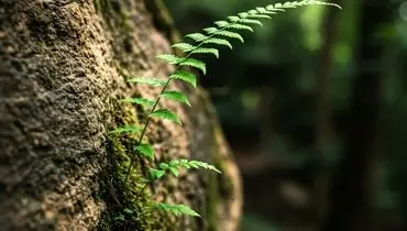 از خجالت تا شکوفایی: رازهای رسیدن به اوج لذت و تجربه‌ی ارگاسم کامل