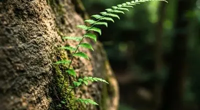 از خجالت تا شکوفایی: رازهای رسیدن به اوج لذت و تجربه‌ی ارگاسم کامل