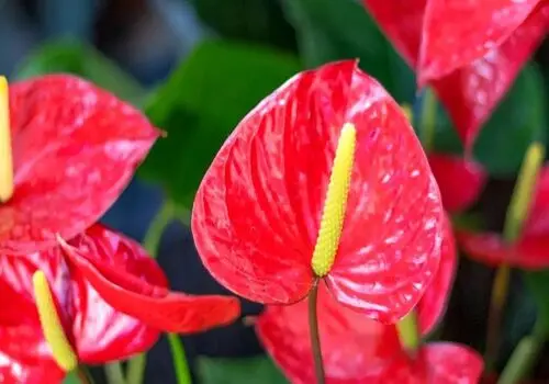  ۹ راهکار ایمن برای گرم کردن خانه!
