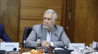 شهباز حسن‌پور: گروه مالی گردشگری با سرمایه‌گذاری در کرمان، الگویی موفق از نقش‌آفرینی بخش خصوصی در توسعه استان است